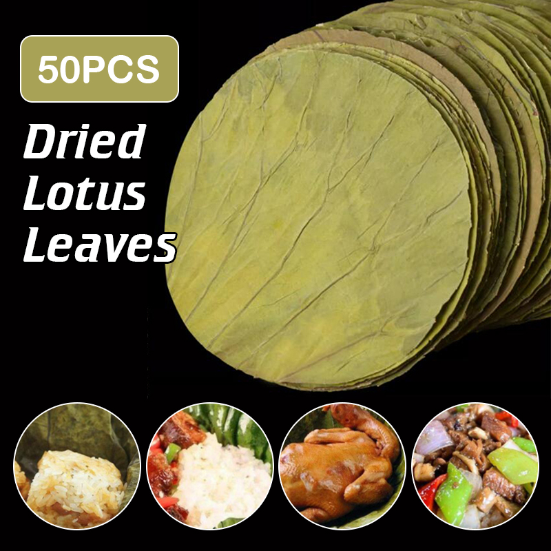 50 pçs 22cm grande disco de fo - Home Cooking Recipes avaliação e preço